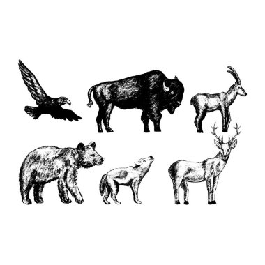 vintage koleksiyonu veya tasarım için oyulmuş vintage tarz vintage set