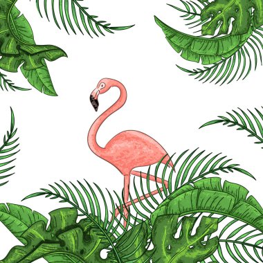 Pembe flamingo, tropikal yaprakları ile güzel çiçek egzotik vektör illüstrasyon.