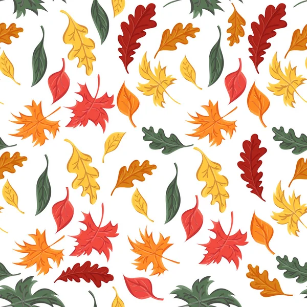 Naadloos patroon van herfstbladeren van bomen en eik en esdoorn — Stockvector