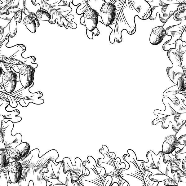 Feuille de chêne vectoriel et cadre de dessin de gland. Éléments d'automne . — Image vectorielle