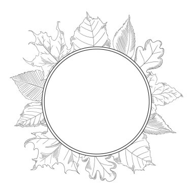 sonbahar bir kroki tarzında çerçeve bırakır. Akçaağaç ve Meşe