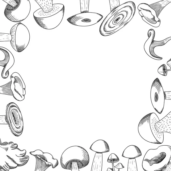 蘑菇手绘草图矢量框架。蘑菇，新鲜的有机食品，在白色上分离. — 图库矢量图片