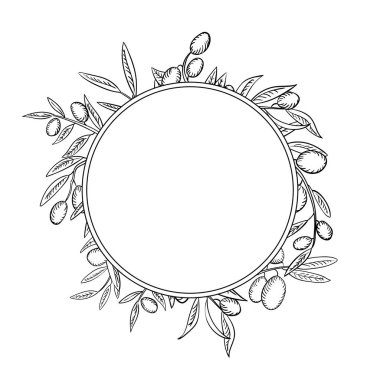 Meyveli zeytin dalları çerçeveyi anahat. Olea europaea dalları lineer botanik skeçler.