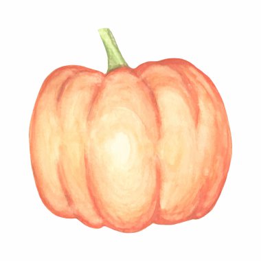 Suluboya kabak vektör izole el çizilmiş nesne. Sebze oyma tarzı illüstrasyon.