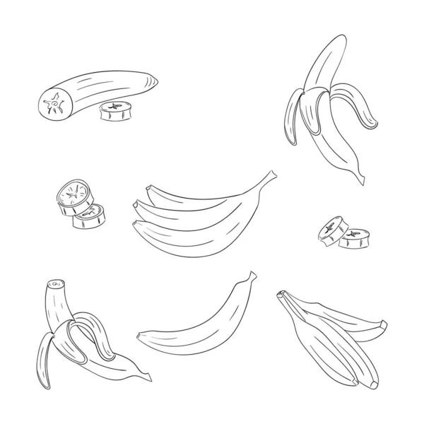 Banane Single und Haufen skizzieren Illustrationen Set — Stockvektor