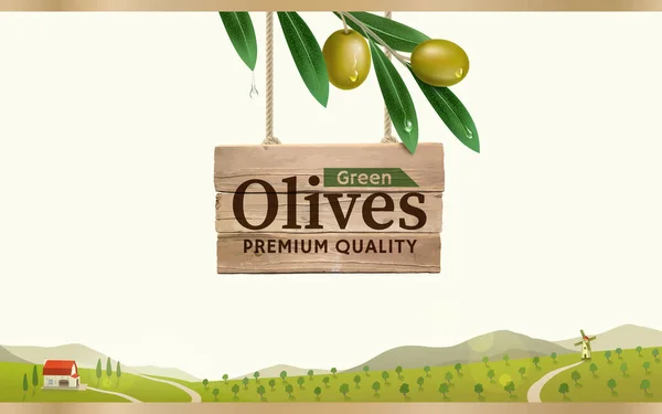 Etiqueta verde oliva con rama de olivo realista sobre fondo verde olivar, diseño para envasado de aceitunas enlatadas y aceite de oliva. Ilustración vectorial eps10 — Vector de stock