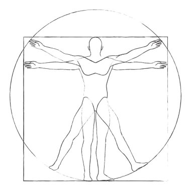 Vitruvian man drawing vector illustration clipart