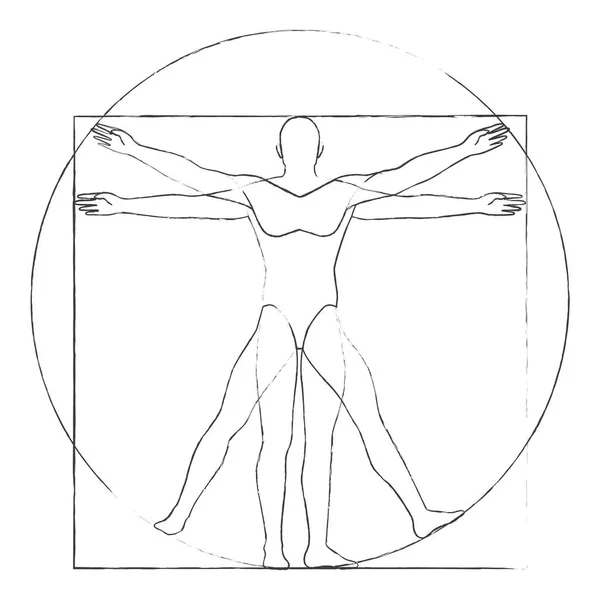 Vitruvian Man Drawing Vector Illustration — Stock Vector
