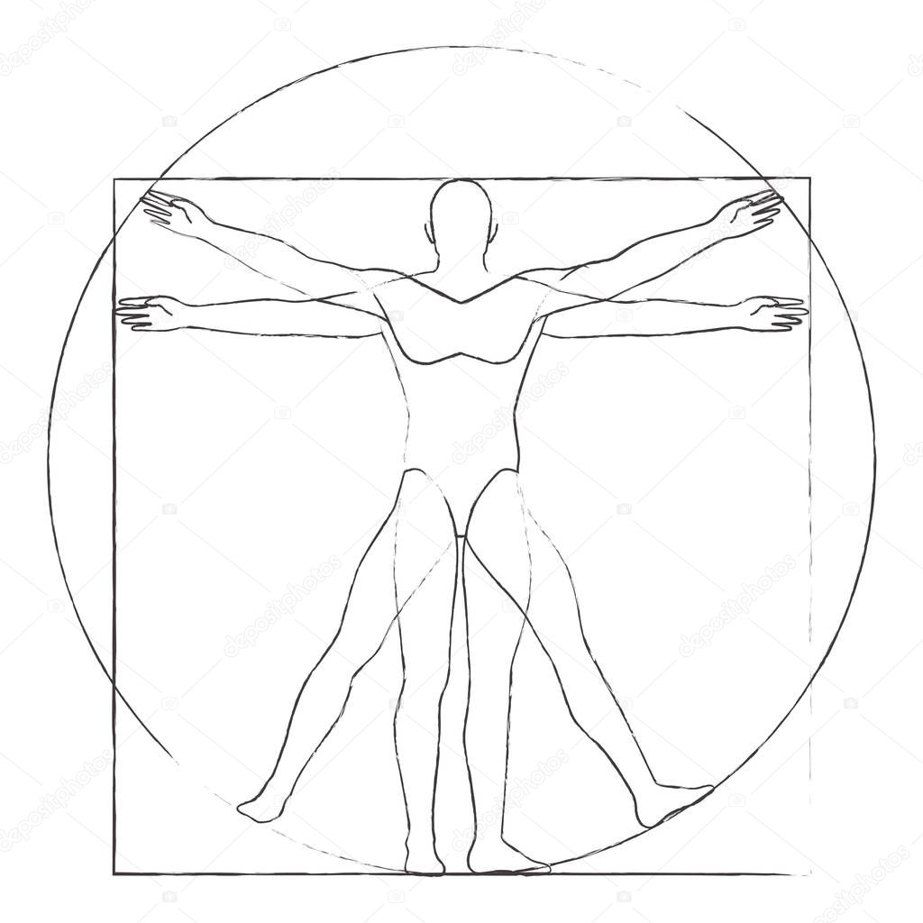 Vitruvian man drawing vector illustration