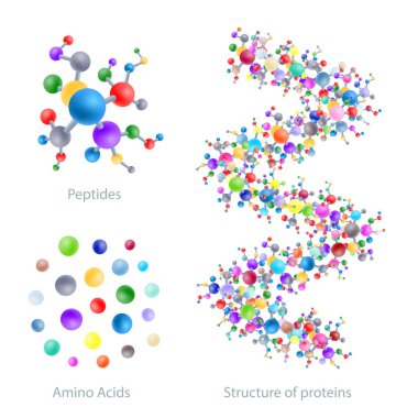 Structure of protein, peptides, amino acids, vector illustration clipart