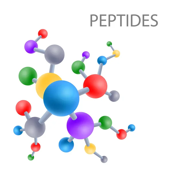 Peptidstruktur Der Struktur Der Aminosäure Vektorillustration — Stockvektor