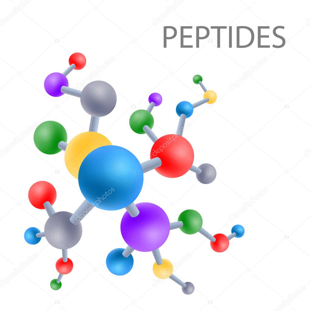 Peptide structure the structure of the amino acid, vector illustration