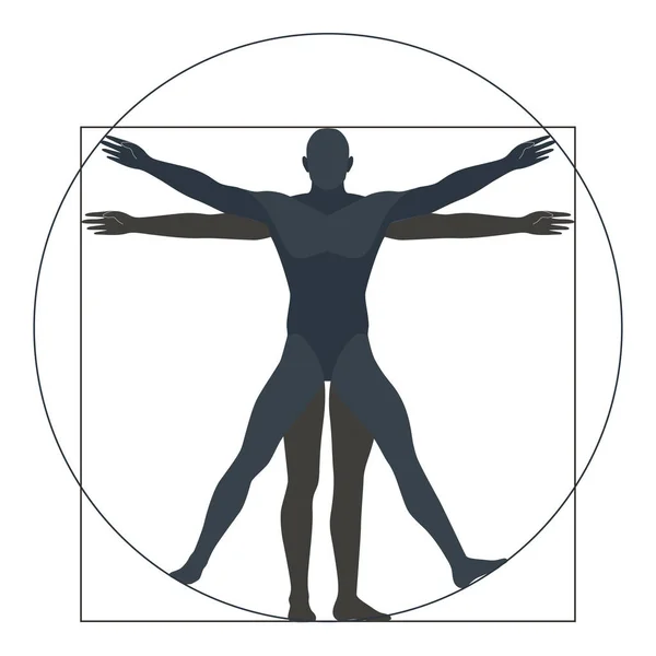 Man Van Vitruvius Silhouet Moderne Vorm Vectorillustratie — Stockvector