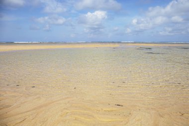 Tropikal Bali Adası, Endonezya kumsalda
