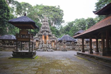 Bali Bali Ubud kutsal maymun orman tapınakta