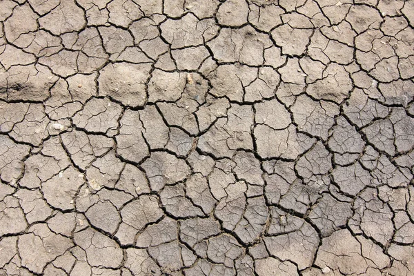 Dry Soil Cracked Texture — Stock Photo, Image