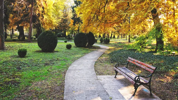 紅葉の美しい公園のベンチ — ストック写真