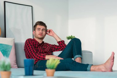 Genç işadamı ekose gömlekli evde çalışma