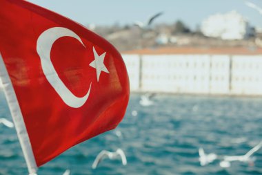 Martılar denizin üzerinde uçuyor.