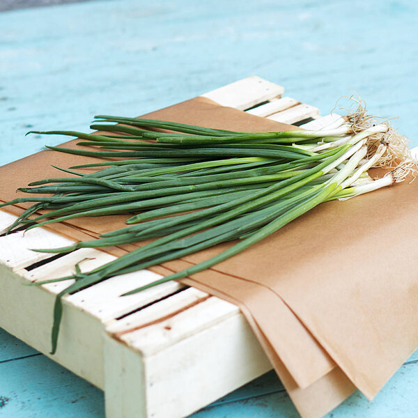 Green onion on the paper with blue background