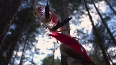 Ormanda bir ağaç üzerinde Dreamcatcher rüzgarda sallar