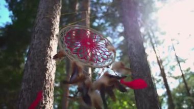 Ormanda bir ağaç üzerinde Dreamcatcher rüzgarda sallar