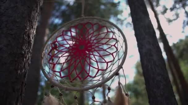 Ormanda Bir Ağaç Üzerinde Dreamcatcher Rüzgarda Sallar — Stok video