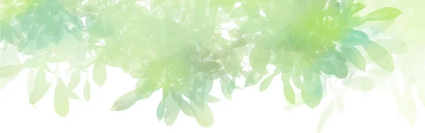 Aquarela Com Folhas Verdes Fundo Conceito Natureza Vetor — Vetor de Stock