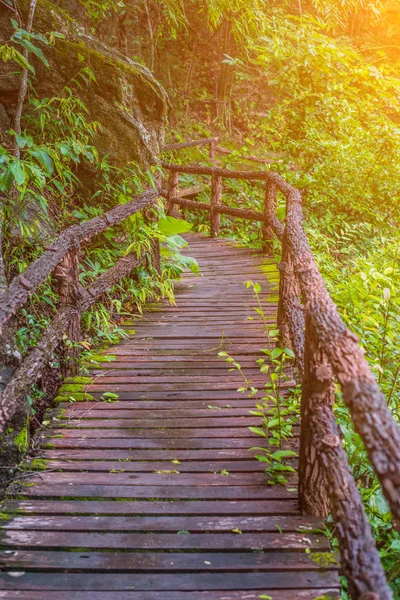 Asphalt Road Pavement National Park Chiang Mai Thailand — Stock Photo, Image