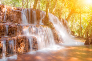 Pa Wai Şelalesi tropikal yağmur ormanlarında, Khirirat, Phop Phra, Tak, Tayland