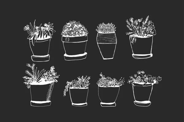 Pflanzen Illustrationen. Handgezeichnetes Objekt — Stockvektor