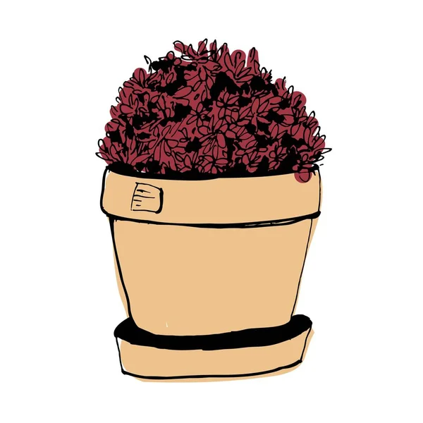 Növények illusztrációk. Kézzel rajzolt objektum — Stock Vector