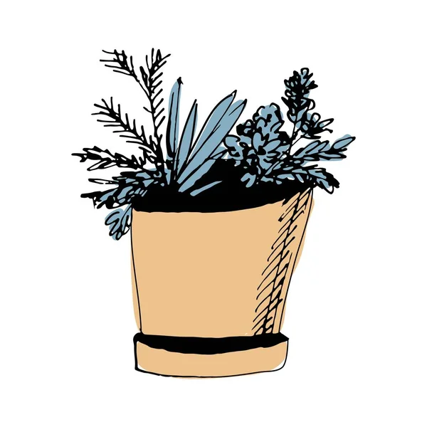 Plantas ilustrações. Objeto desenhado à mão — Vetor de Stock