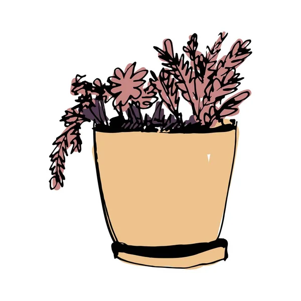 Рослини ілюстрації. Об'єкт, намальований вручну — стоковий вектор