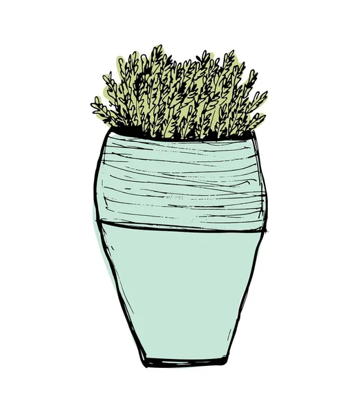 Plantas ilustrações. Objeto desenhado à mão — Vetor de Stock
