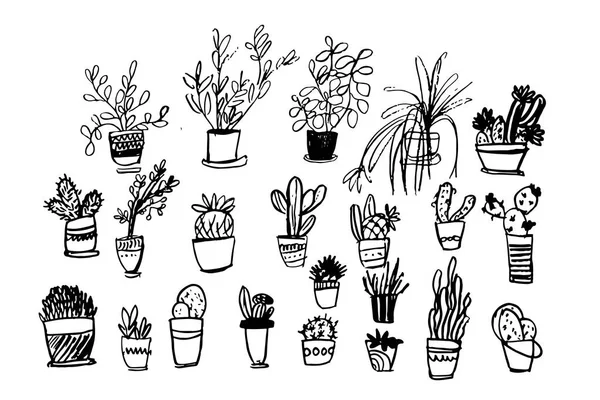 Kaktus große Set Illustration. Pflanzen für Ihr Design — Stockvektor