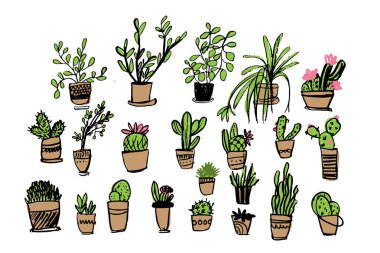 Kaktüs büyük resimde ayarlayın. Tasarımınız için bitkiler