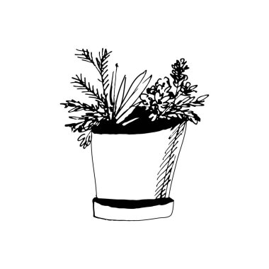 Bitkiler illüstrasyonlar. El çizim nesnesini