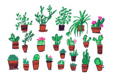 Cacti seti, basitçe vektör illüstrasyonu
