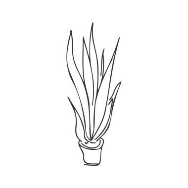 Bitki çizimi. Ev dekorasyonu. El çizimi