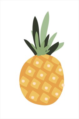 Tasarımınız için ananas çizimi. Yaz posteri
