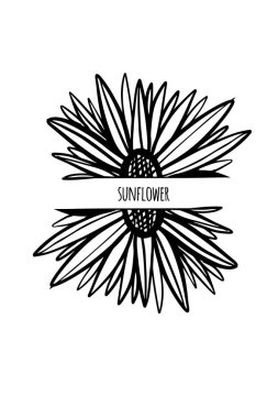 El çizimi ayçiçeği çizimi. Monogram