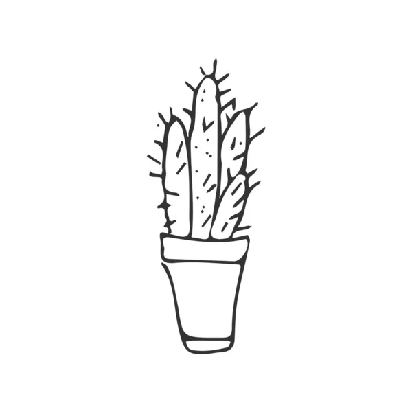 Cactus Ilustração Para Seu Projeto Plantas Desenhadas Mão — Vetor de Stock