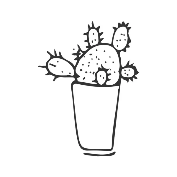 Kaktus Illustration För Din Design Handritade Växter — Stock vektor