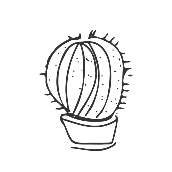 Illustration Von Kakteen Für Ihr Design Handgezeichnete Pflanzen — Stockvektor