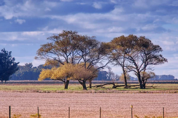 Manzara günbatımı Arjantin