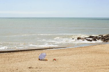 Serçeler fırtına sırasında bir çatı altında korunuyor.                                                 
