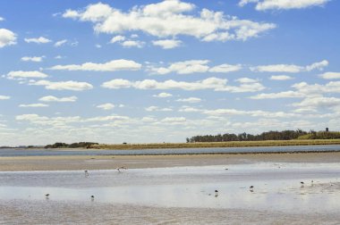 Mottarlar dar yolda bisiklet sürüyorlar.                       