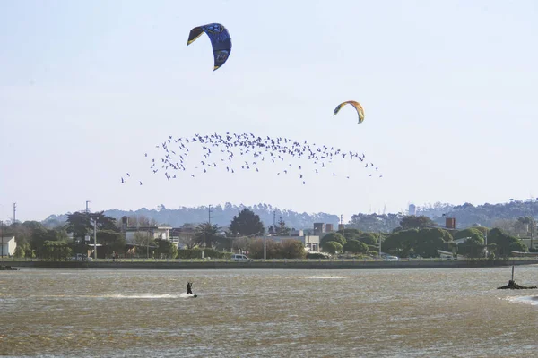 Kitte Surfeurs Dans Lagune Mar Chiquita — Photo