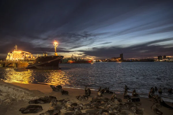 Santa Clara del Mar Manzara Sunset , Arjantin   